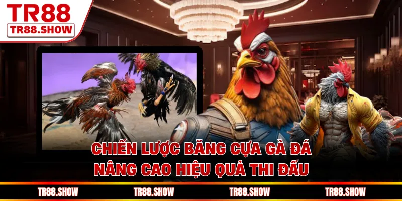 Chiến lược băng cựa gà đá nâng cao hiệu quả thi đấu