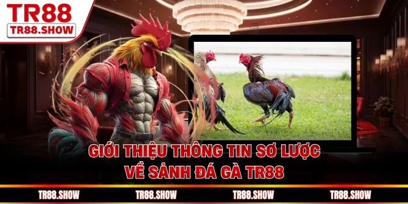Giới thiệu thông tin sơ lược về sảnh đá gà Tr88