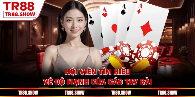 Hội viên tìm hiểu về độ mạnh của các tay bài