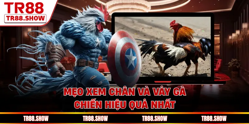 Mẹo xem chân và vảy gà chiến hiệu quả nhất