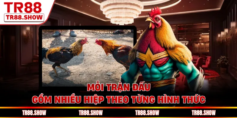 Mỗi trận đấu gồm nhiều hiệp theo từng hình thức