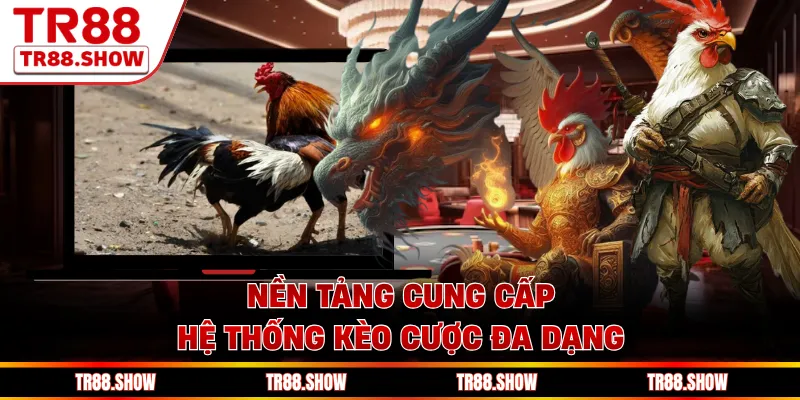 Nền tảng cung cấp hệ thống kèo cược đa dạng