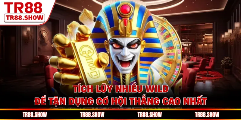 Tích lũy nhiều Wild để tận dụng cơ hội thắng cao nhất