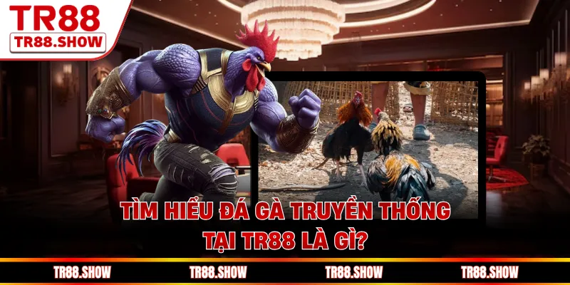 Tìm hiểu đá gà truyền thống tại Tr88 là gì?